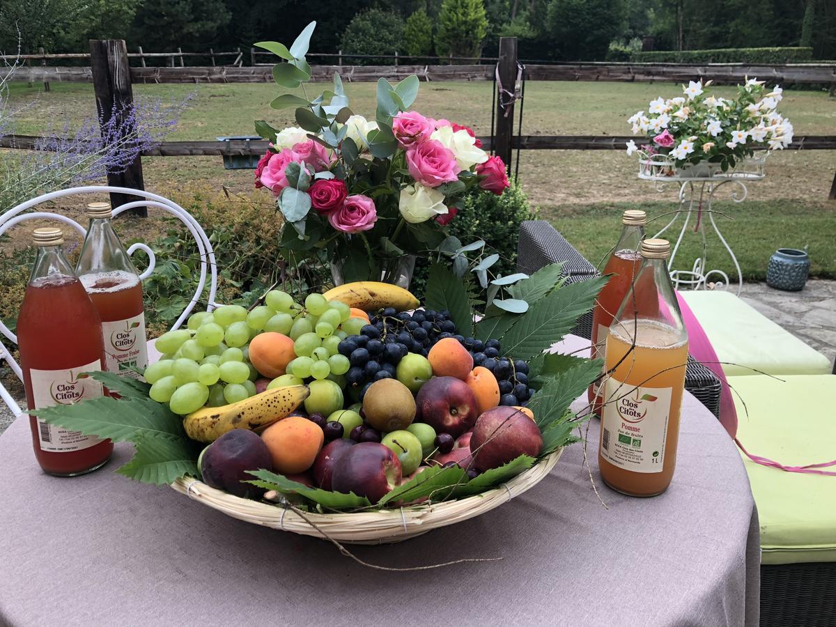 Domaine Du Vertbois La Haye-du-Theil 外观 照片